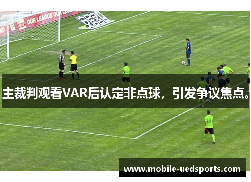 主裁判观看VAR后认定非点球，引发争议焦点。
