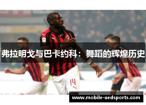 弗拉明戈与巴卡约科:舞蹈的辉煌历史 弗拉明戈与巴卡约科:舞蹈的辉煌历史